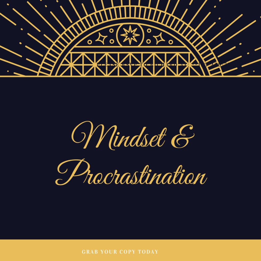 MindsetAndProcrastinationPLRReviews